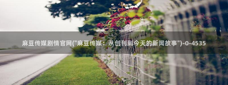 麻豆视频官方专区：麻豆传媒剧情官网(\