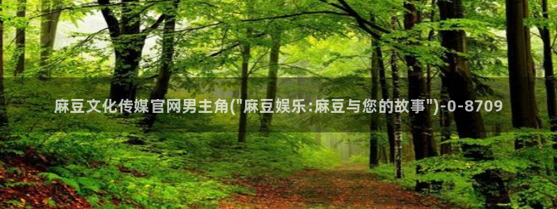 麻豆视频下载合集：麻豆文化传媒官网男主角(\