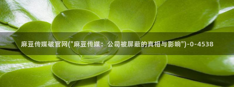 麻豆视频 精选完整版：麻豆传媒破官网(\