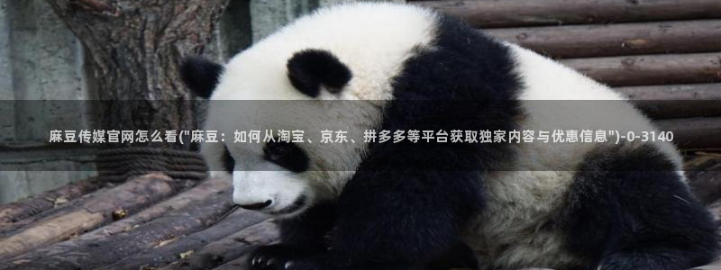 麻豆视频 热门高清：麻豆传媒官网怎么看(\