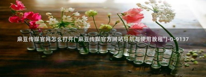 麻豆 入口最新：麻豆传媒官网怎么打开(\