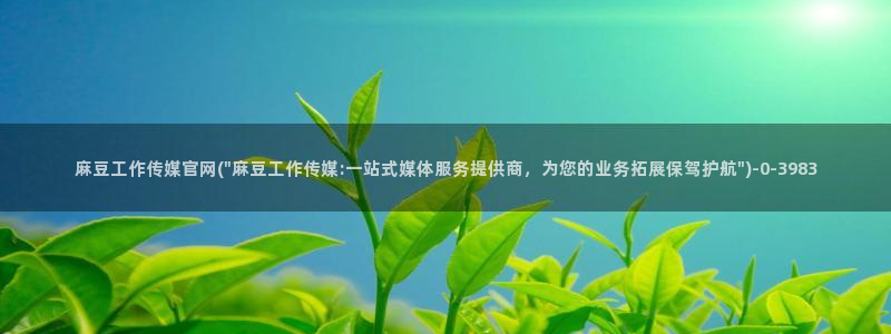 麻豆视频 入口资源：麻豆工作传媒官网(\