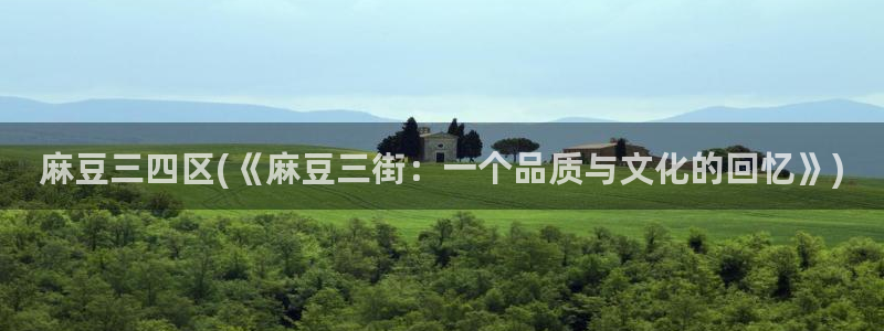 麻豆av专区：麻豆三四区(《麻豆三街：一个品质与文化的回忆》)