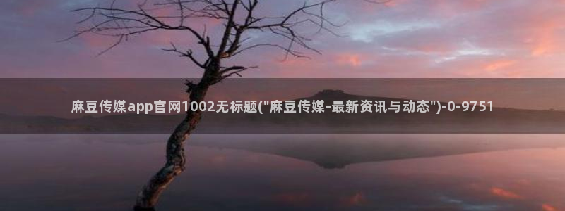 麻豆视频精选专区：麻豆传媒app官网1002无标题(\
