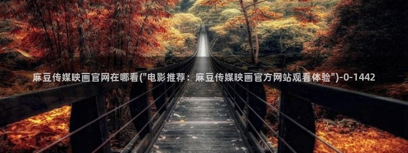 麻豆视频 下载资源：麻豆传媒映画官网在哪看(\