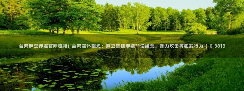 麻豆视频 系列专区：台湾麻豆传媒官网链接(\