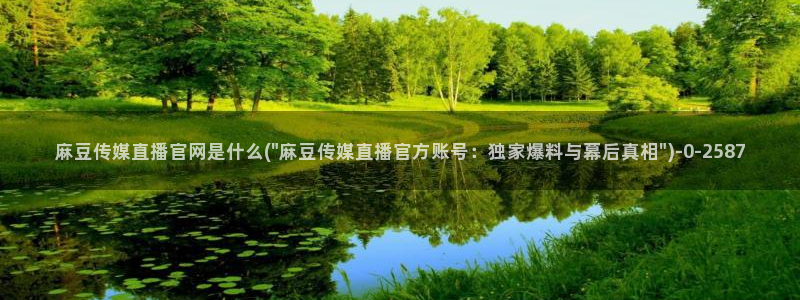 麻豆官方：麻豆传媒直播官网是什么(\