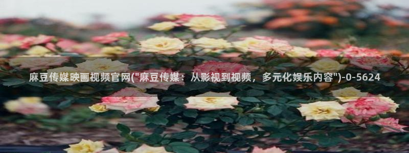 麻豆资源更新