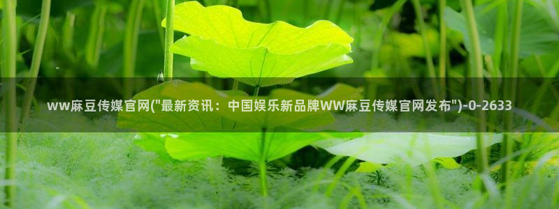 麻豆视频入口完整版：ww麻豆传媒官网(\