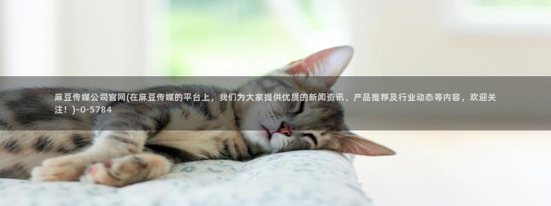 麻豆视频 热门完整版
