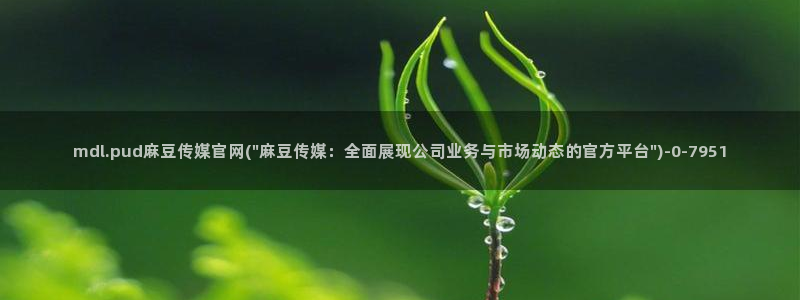 麻豆视频资源合集