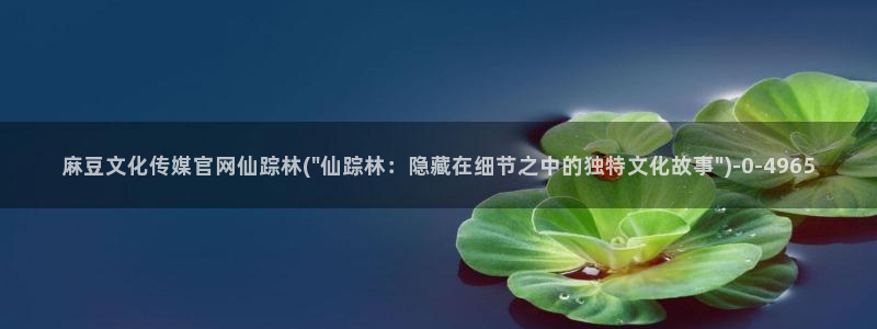 麻豆视频 高清下载：麻豆文化传媒官网仙踪林(\