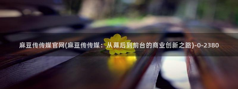 麻豆视频专区页面
