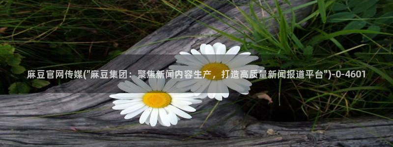 麻豆在线看页面