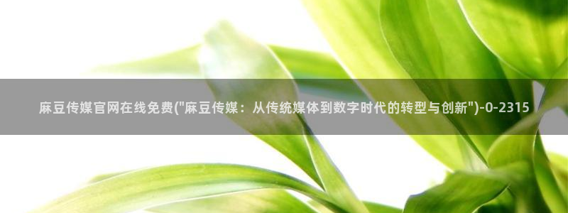 麻豆 更新在线看